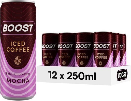 Boost Iced Coffee Mocha 250ml
