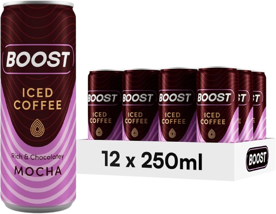 Boost Iced Coffee Mocha 250ml